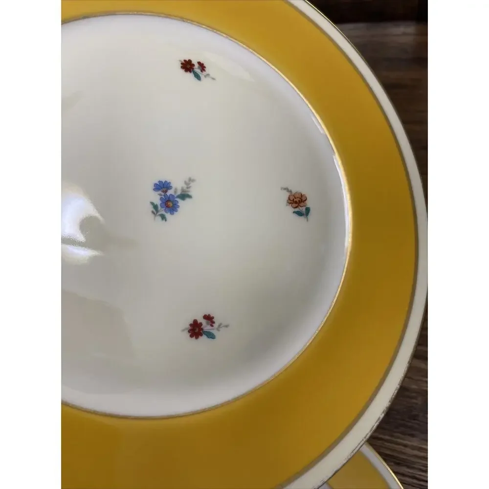 Furstenberg Porcelain Vintage Dinner Plates Yellow Gold Flowers Germany